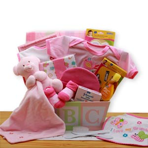 Easy as ABC New Baby Gift Basket - Pink