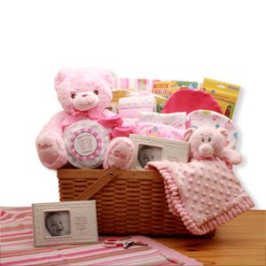 My First Teddy Bear New Baby Gift Basket - Pink