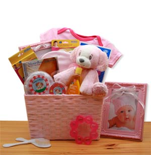 Puppy Love New Baby Gift Basket - Pink