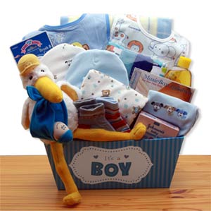 A Special Delivery New Baby Gift Basket - Blue