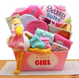 A Special Delivery  New Baby Gift Basket- Pink